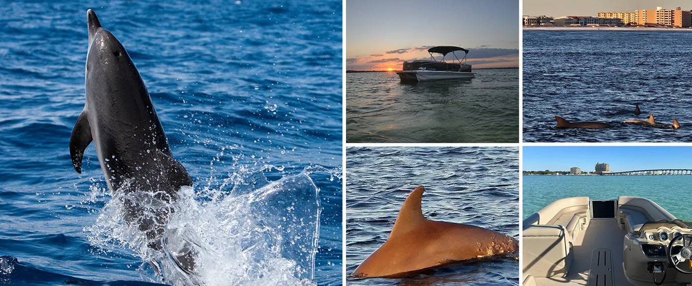 Private Sunset Cruise and Dolphin Sighting in Destin