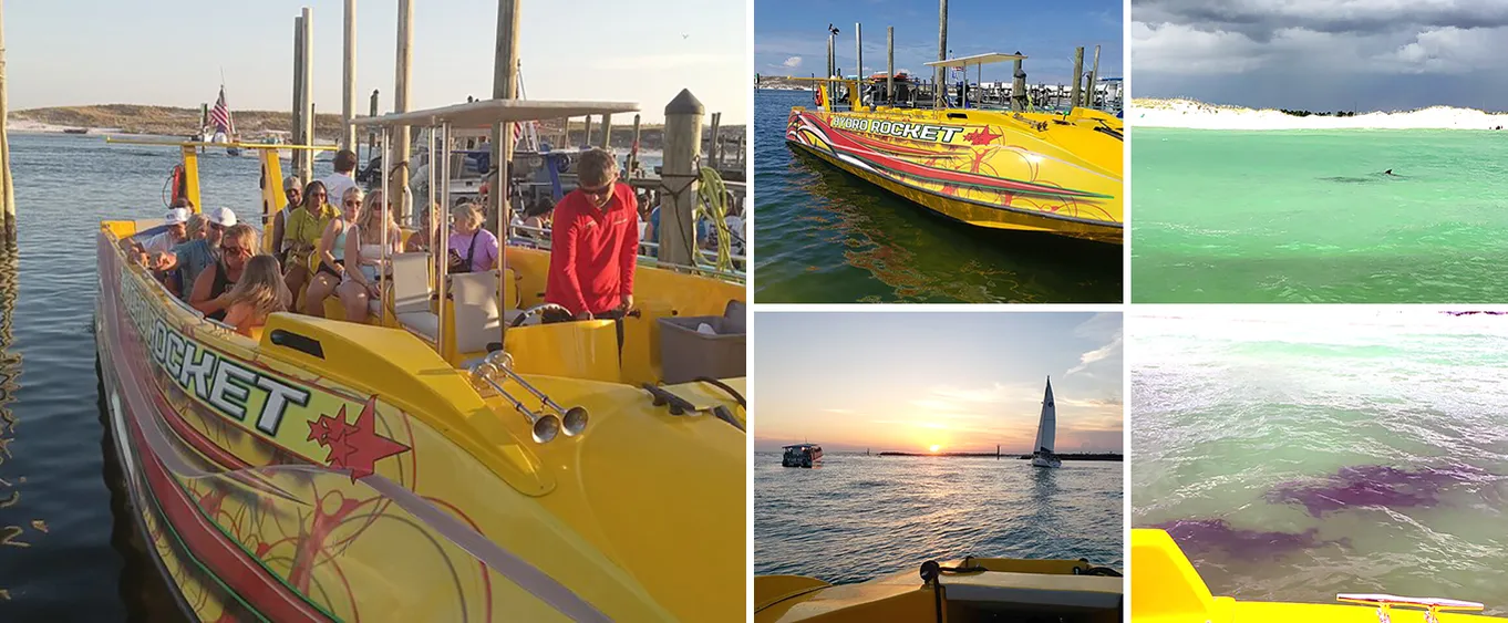 Hydro Rocket Dolphin Sightseeing Boat Tour from Destin