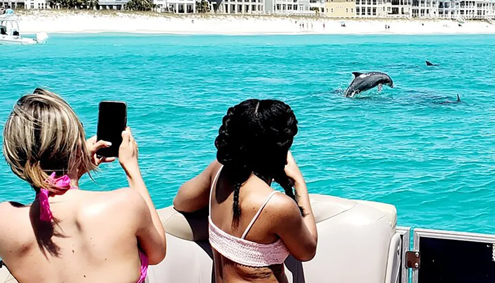 Two people are photographing a dolphin leaping out of the turquoise waters near a beach from a boat