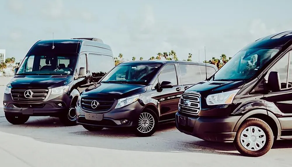 Three Mercedes-Benz vehicles are parked side by side with a palm tree-lined background showcasing a mix of luxury and utility