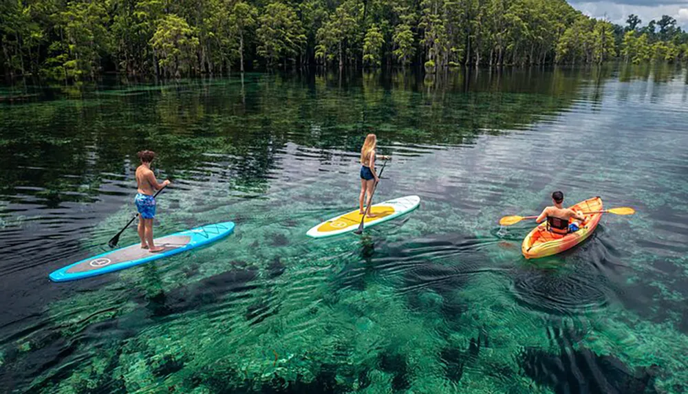 Three people are engaging in paddleboarding and kayaking on a crystal-clear lake beside a lush forest