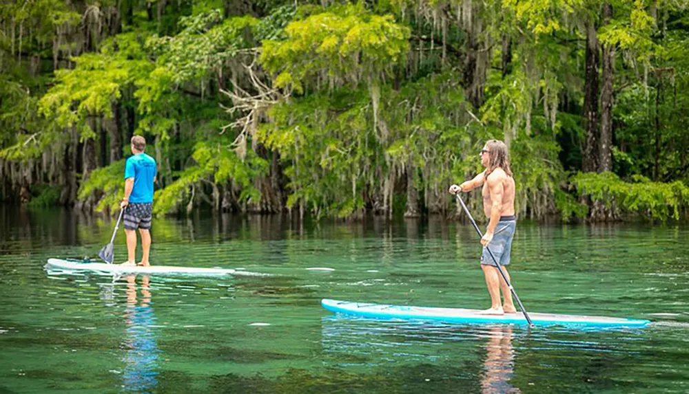 Two individuals are stand-up paddleboarding on a serene river surrounded by lush greenery