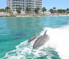 A group of happy people is enjoying a sunny boat ride on a clear blue water body