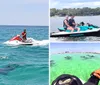 Two people on jet skis ride across the ocean near a pair of dolphins on a sunny day