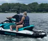 Two people on jet skis ride across the ocean near a pair of dolphins on a sunny day