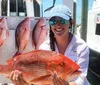 A smiling person is holding a large red snapper with other snappers hanging in the background presumably after a successful fishing trip