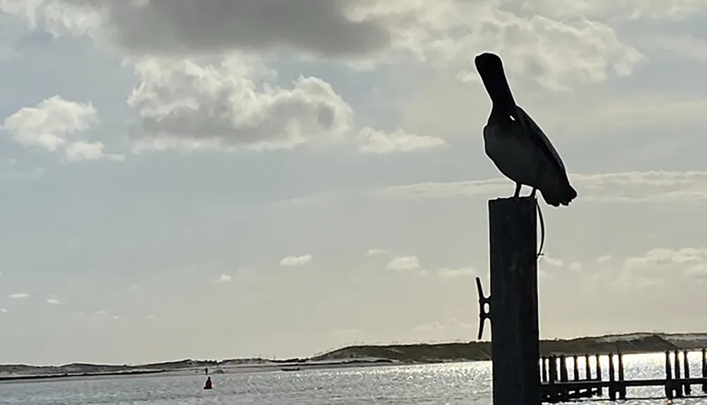 A silhouette of a pelican perched on a post with a coastal landscape in the background under a slightly cloudy sky