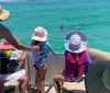 A group of people on a boat are observing dolphins in clear turquoise waters