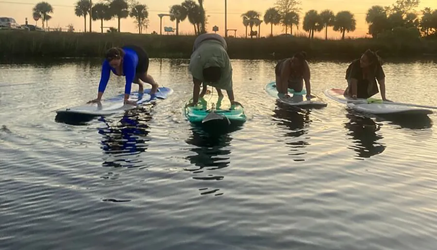 A group of individuals are practicing paddleboard yoga on a calm body of water at sunset.