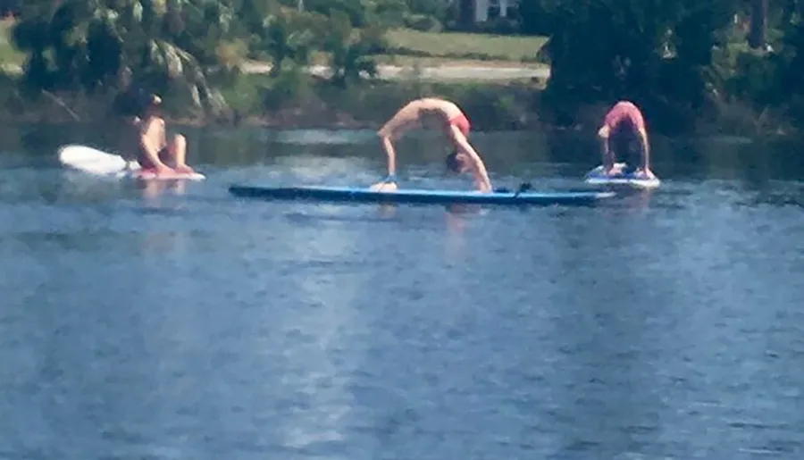 Three individuals appear to be practicing yoga on paddleboards on a body of water, with a backdrop of greenery and buildings.