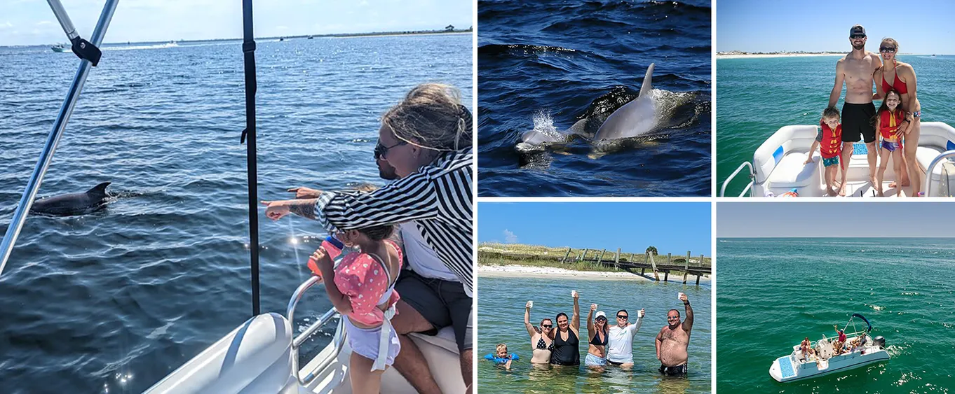 2 Hour Dolphin Tours in Panama City Beach