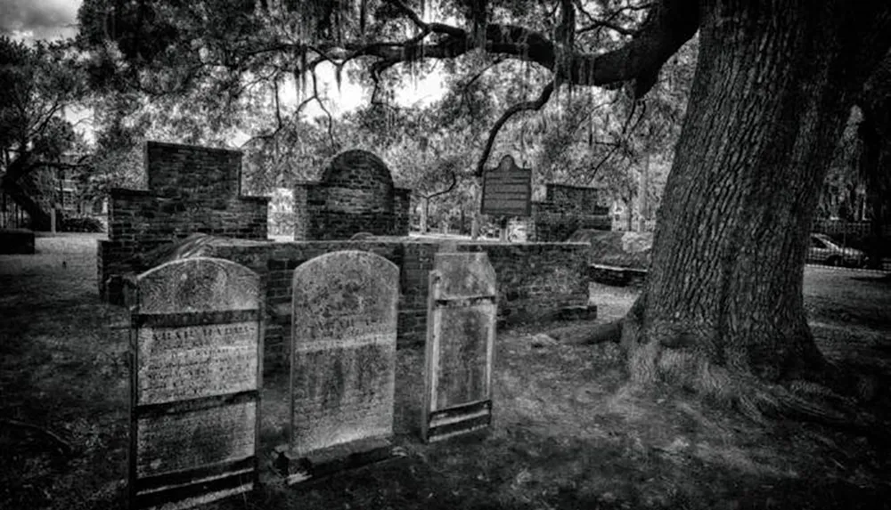 The black and white image depicts an old somber graveyard with weathered tombstones and enclosures under the shade of large trees creating a quiet and haunting atmosphere