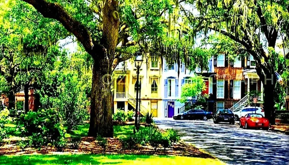 The image depicts a vibrant residential street lined with tall trees draped in Spanish moss and houses with colorful doors conveying a charming and picturesque atmosphere