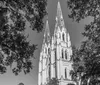 A black and white photograph captures the towering spires of a Gothic-style church peering above the lush canopy of a tree