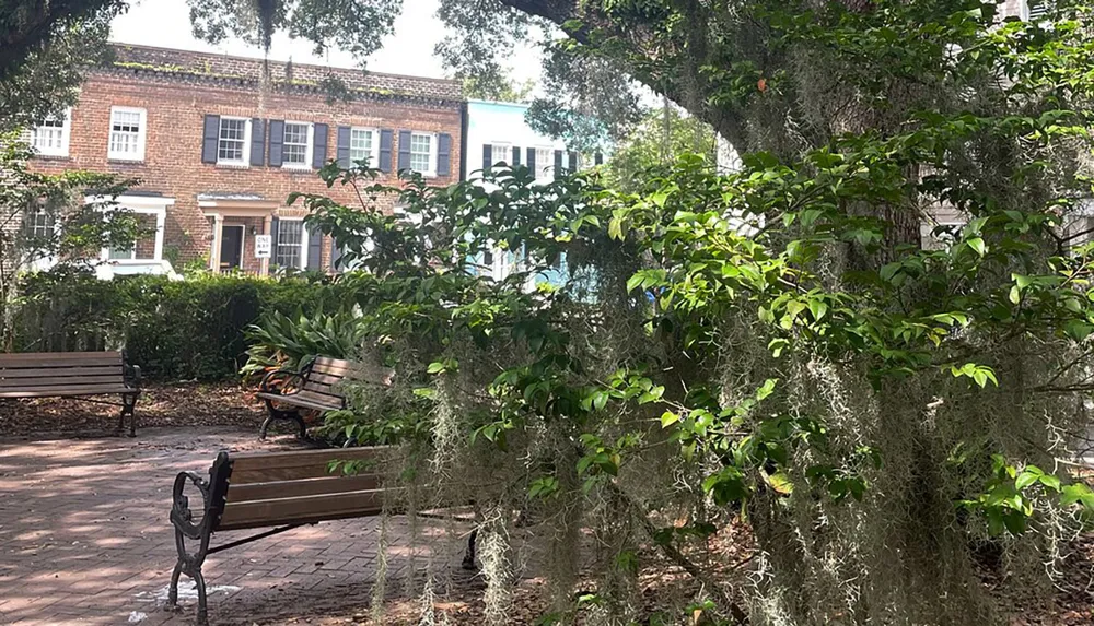 This image shows a peaceful tree-shaded urban park with benches and Spanish moss fronting a brick building