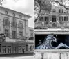 The black and white image features a classic theater facade with a marquee sign under a tree-lined street