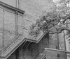 The black and white image features a classic theater facade with a marquee sign under a tree-lined street