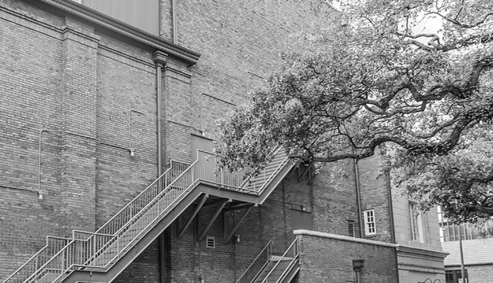 This is a black and white image showing an external metal staircase attached to a brick building with a large leafy tree adjacent to it