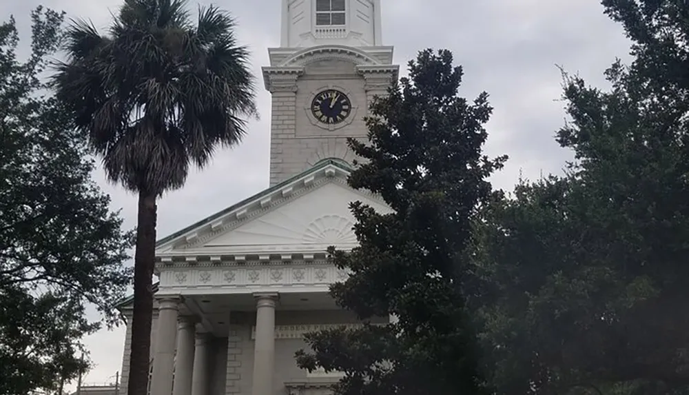 The image shows a classical building with a clock tower flanked by trees and a palm tree under an overcast sky