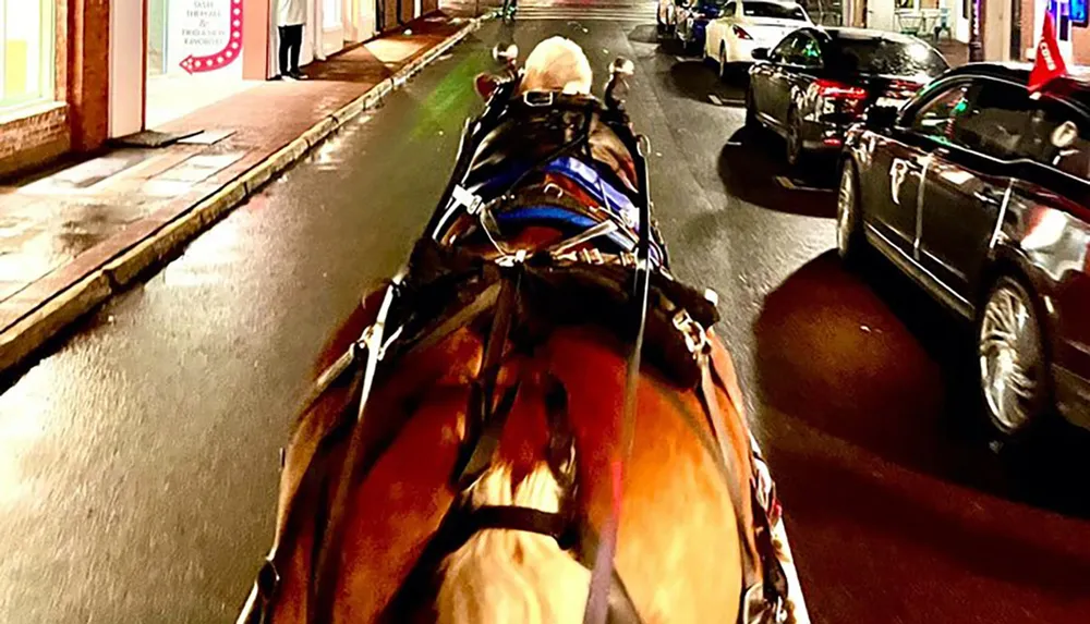 The image captures a horse-drawn carriage on an urban street at night taken from the perspective of the carriage driver or passenger