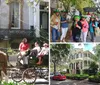 A horse-drawn carriage carries a group of tourists down a tree-lined urban street