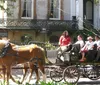 A horse-drawn carriage carries a group of tourists down a tree-lined urban street