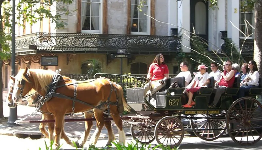 A horse-drawn carriage carries a group of tourists down a tree-lined urban street