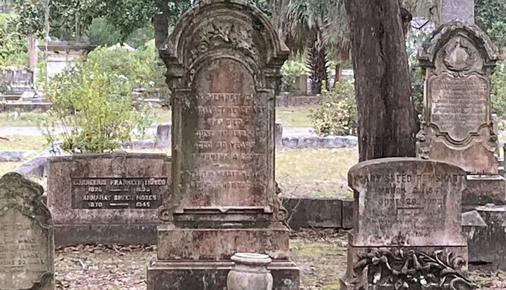 The image shows aged tombstones with inscriptions likely in a historical cemetery surrounded by overgrown vegetation