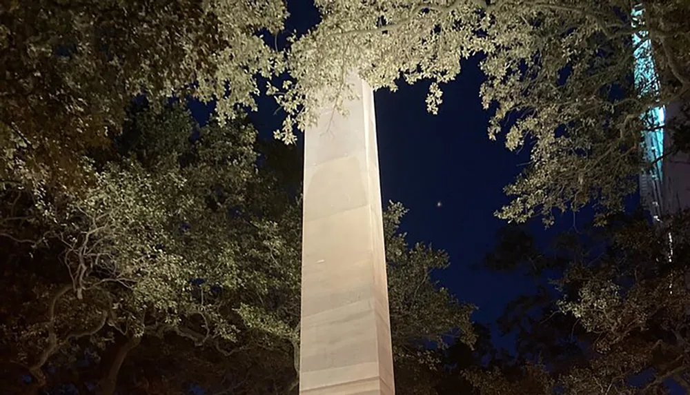 The image shows a night scene with a tall illuminated column and trees against a dark blue sky