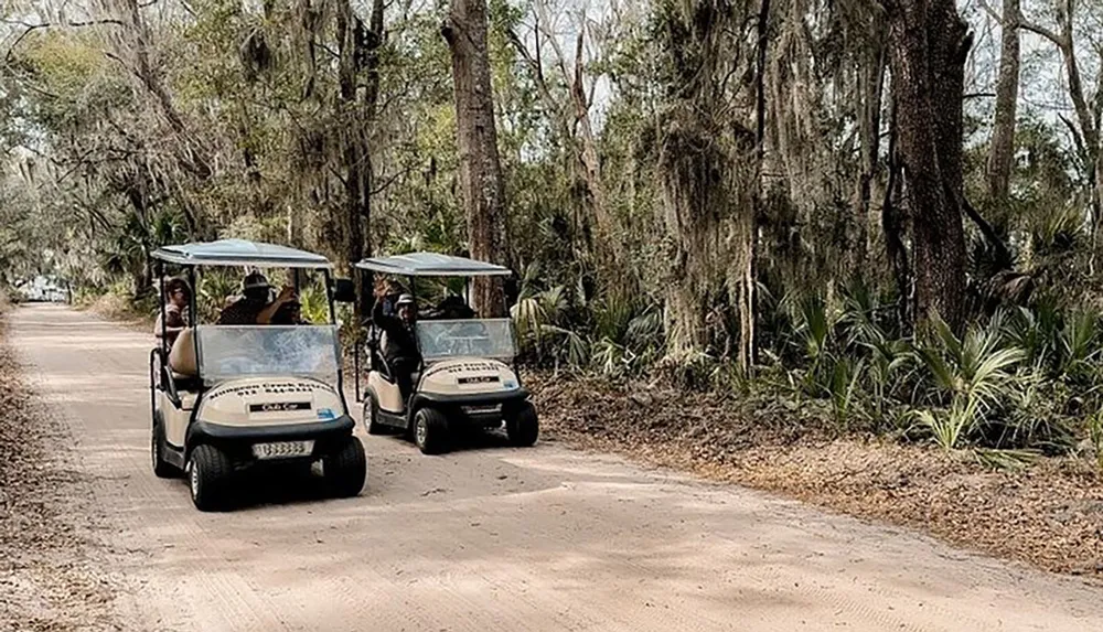 Two golf carts are driven along a sandy path surrounded by dense vegetation and Spanish moss-draped trees