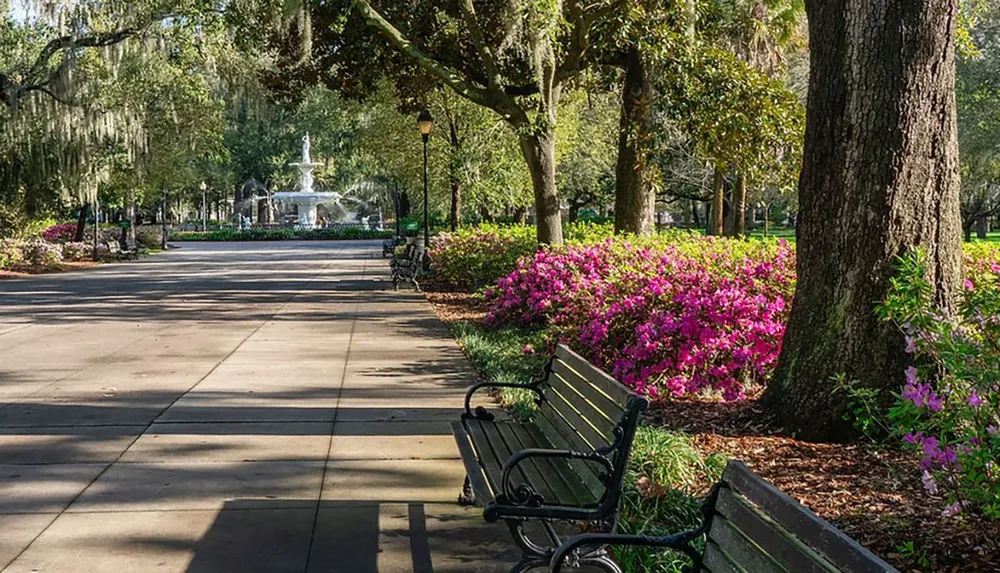 A serene park path leads toward a classic fountain flanked by vibrant flowering shrubs and shaded by sprawling live oaks draped with Spanish moss