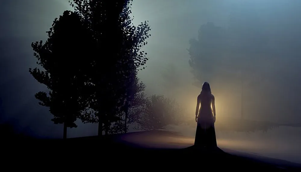 The image depicts a silhouetted figure standing in a foggy dimly lit forest creating an eerie atmosphere