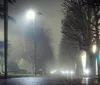 An empty foggy street at night illuminated by street lamps with trees lining the sides