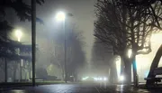 An empty, foggy street at night illuminated by street lamps with trees lining the sides.