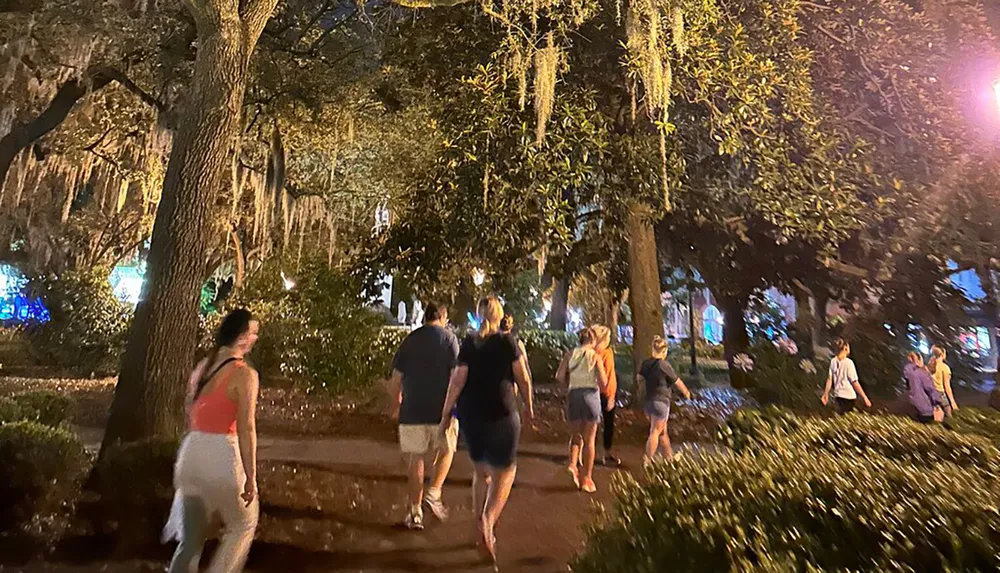 People are walking through a park with trees draped in Spanish moss at nighttime