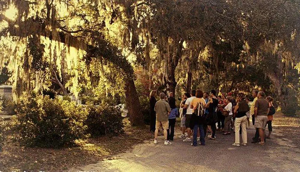 A group of people gathers under a canopy of trees draped with Spanish moss possibly on a guided tour in a park or historic site