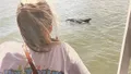 Tybee Island Dolphin Tour Photo