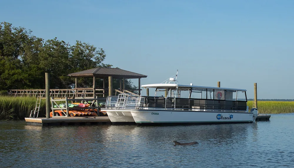 A pontoon boat named Ohana is docked at a wooden pier on a calm body of water with a gazebo and kayaks nearby under a clear blue sky