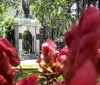 The image displays a tranquil park scene with lush greenery draped Spanish moss and a gazebo-like structure in the background framed by vibrant red flowers in the foreground