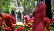 The image displays a tranquil park scene with lush greenery, draped Spanish moss, and a gazebo-like structure in the background, framed by vibrant red flowers in the foreground.