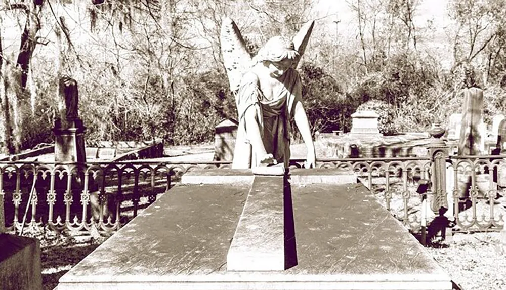 The image shows an angel statue bending over a grave in a cemetery evoking a sense of mourning or guardianship