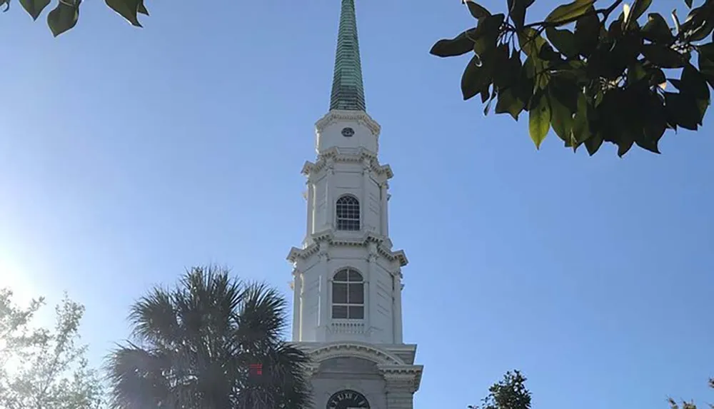 The image shows the tall steeple of a white church with a clear blue sky in the background framed by green foliage and a palm tree