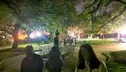 The image shows a group of people on a night walk in a park with atmospheric lighting and large, shadowy trees.