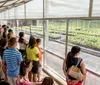 A group of people are observing plants in a greenhouse during a guided tour