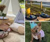 The image depicts an elegantly arranged outdoor picnic setup with a low table various cushions a picnic basket and decorative elements including a small teepee under the theme Picnics with Puppies