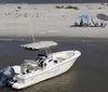 A group of people is enjoying a sunny day out on the water with some on a boat and others in an attached floating ring