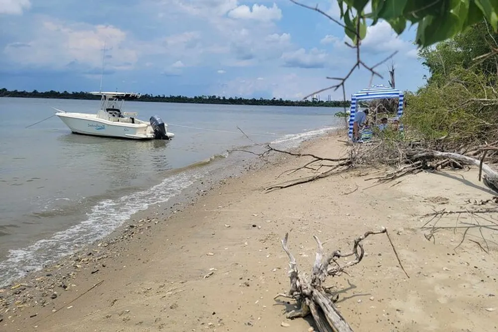 A motorboat is moored near the sandy shore of a calm river with a person standing under a makeshift shelter among the foliage