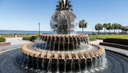 The image shows a multi-tiered pineapple-shaped fountain set in a park with a waterfront promenade and palm trees in the background.