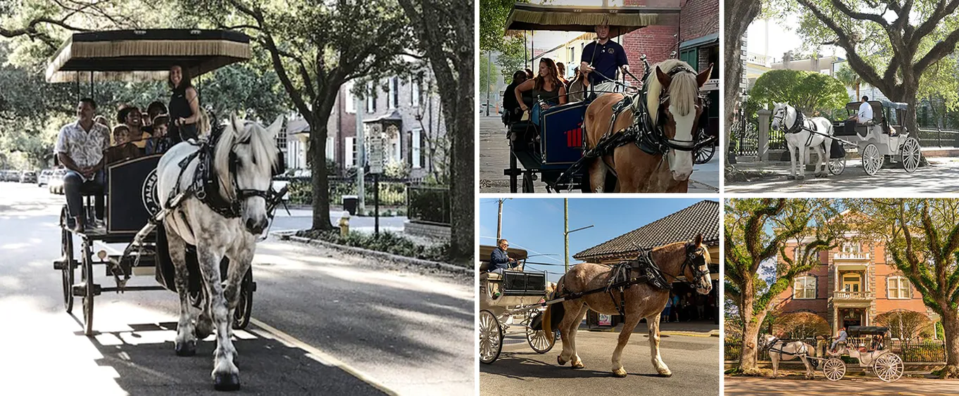 Private Historic Horse and Carriage Tour of Charleston