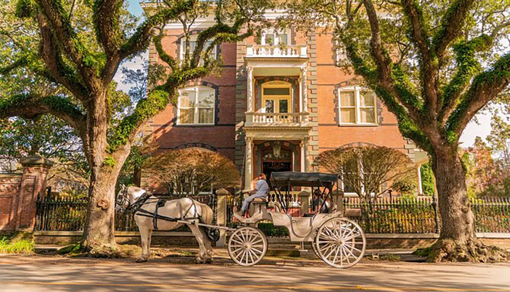 A horse-drawn carriage is parked in front of a historic brick building adorned with intricate architectural details nestled among mature trees that line a tranquil street